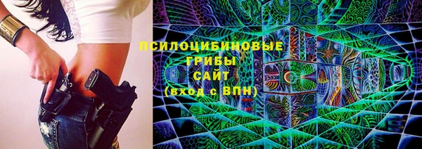 a pvp Пересвет