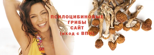 СК Переславль-Залесский