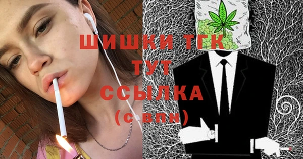 a pvp Пересвет