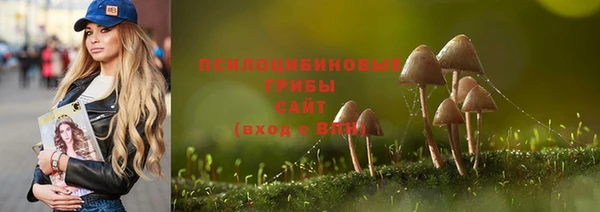 a pvp Пересвет
