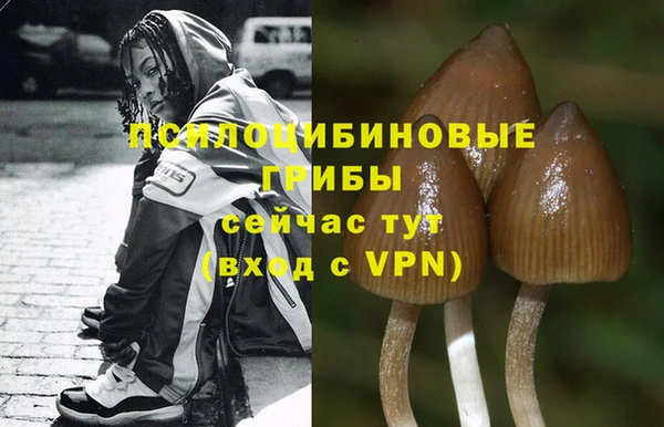 СК Переславль-Залесский