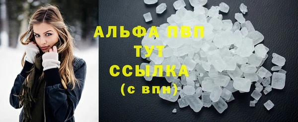 a pvp Пересвет