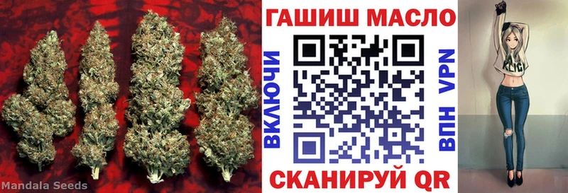 кракен   как найти закладки  Будённовск  Дистиллят ТГК концентрат 
