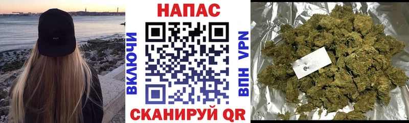 Каннабис MAZAR  где можно купить   Будённовск 